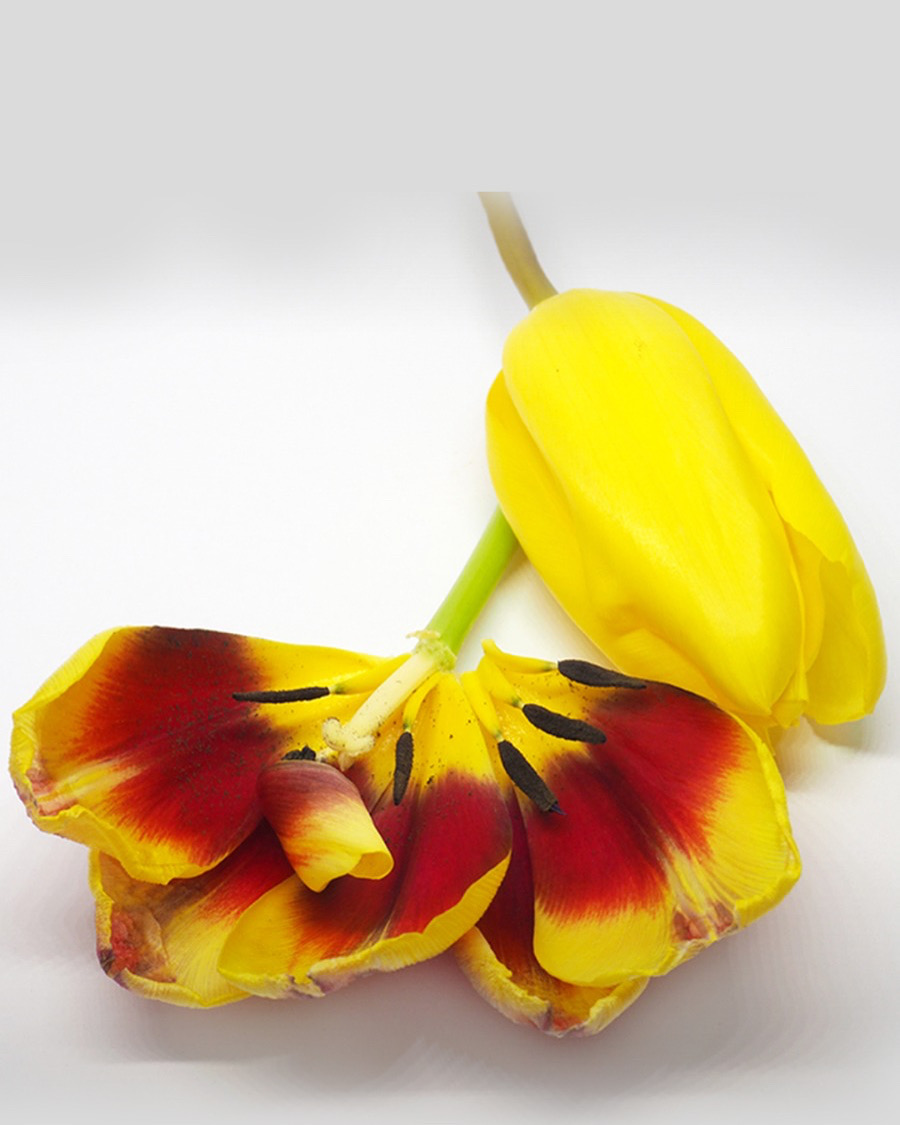 Visite o nosso blogue